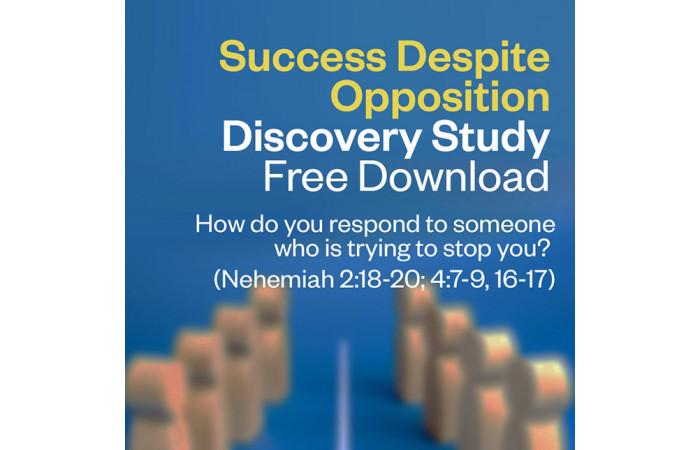 Discovery Study - Success Despite Opposition - Free Download
