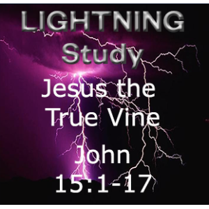 Lightning Study  John 15 1-17 Jesus the True Vine - Free Download