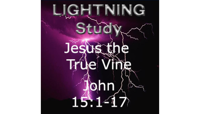 Lightning Study John 15 1-17 Jesus the True Vine - Free Download Lightning Study John 15 1-17 Jesus the True Vine - Free Download
