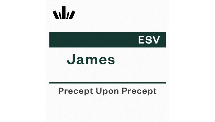 PUP Workbook (ESV) - James Revised PUP Workbook (ESV) - James Revised