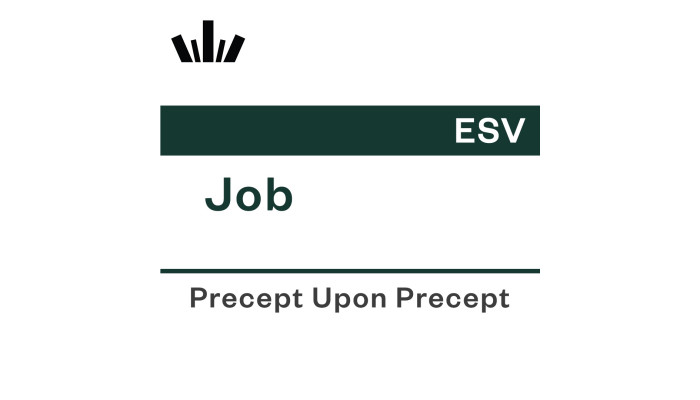 PUP Workbook (ESV) - Job PUP Workbook (ESV) - Job