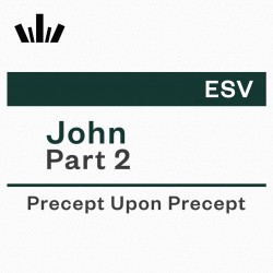 PUP Workbook (ESV) - John Part 2