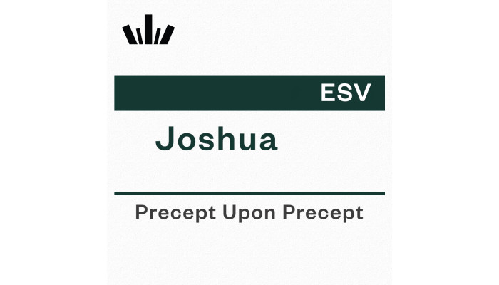 PUP Workbook (ESV) - Joshua