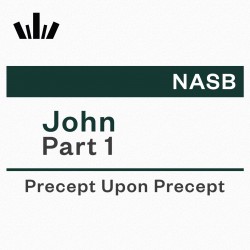 PUP Workbook (NASB) - John Part 1