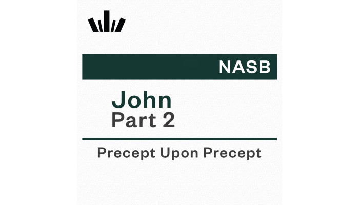PUP Workbook (NASB) - John Part 2