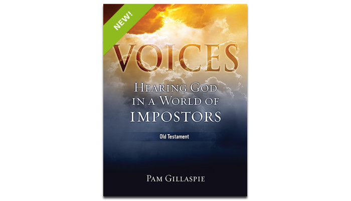 Pam G-Voices: Hearing God in a World of Impostors (Part 1 - Old Testament) Pam G-Voices: Hearing God in a World of Impostors (Part 1 - Old Testament)