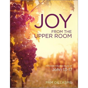 Pam G-JOY from the Upper Room - John 13–17