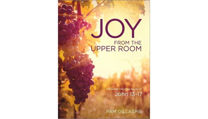 Pam G-JOY from the Upper Room - John 13–17