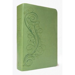 New Inductive Study Bible (ESV) - Green 'Milano Softone' Cover 