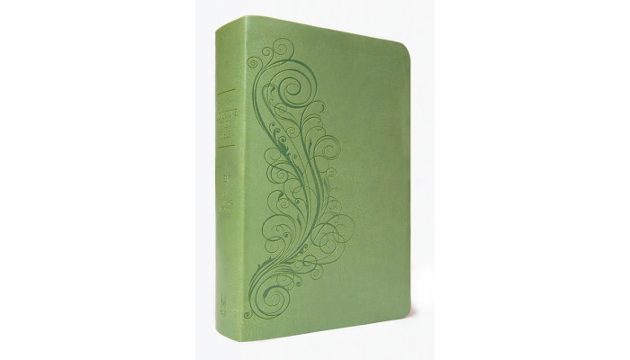 New Inductive Study Bible (ESV) - Green 'Milano Softone' Cover 