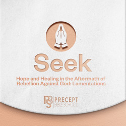 (2022-10) Precept Bible School ONLINE – SEEK: Hope and Healing in the Aftermath of Rebellion Against God (Lamentations) – 14-16th Oct 2022